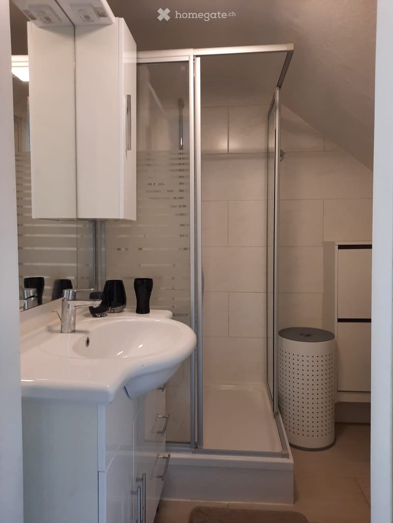 chambre a louer libre pour le 7 sept 2026 (4)