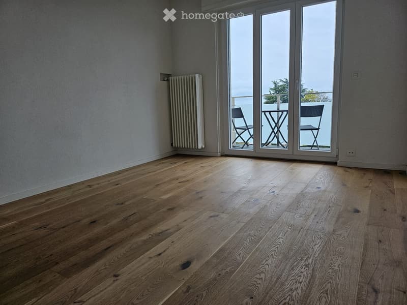 3,5 pièces rénové avec vue panoramique (5)