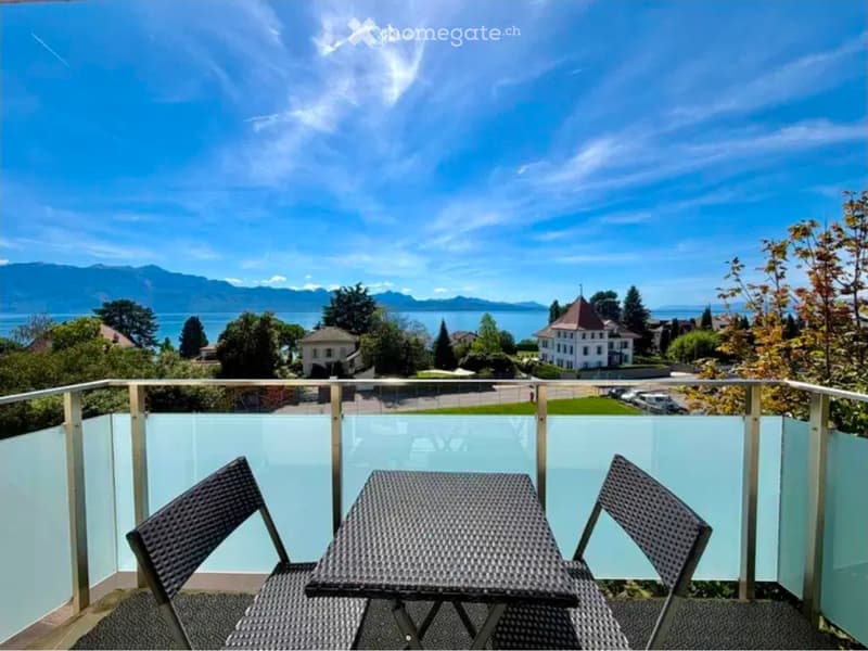 3,5 pièces rénové avec vue panoramique (2)