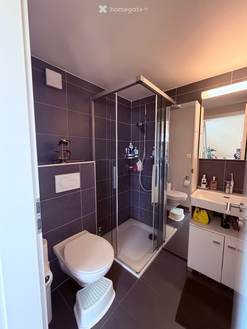 Grand studio en duplex à louer à la Vallée de Joux (2)