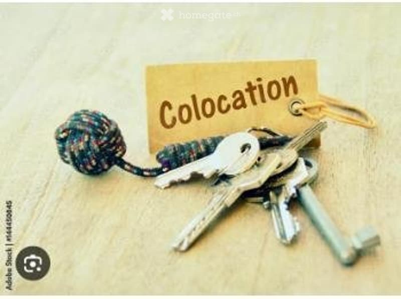 Cherche Colocataire (4)
