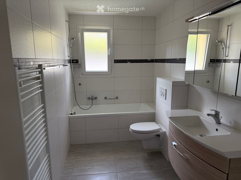 À louer appartement 3,5 pièces (11)