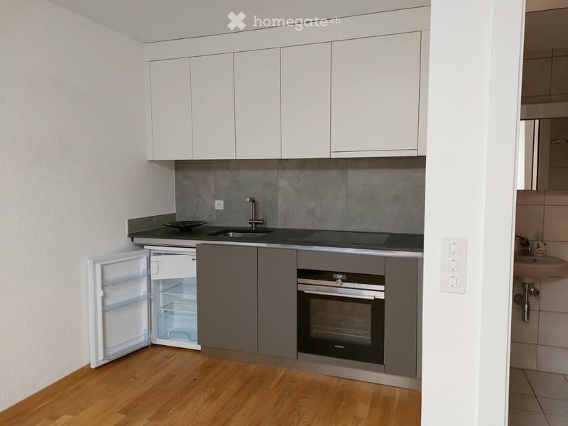 Studio à louer à Grône  CHF 900. charges comprises (4)