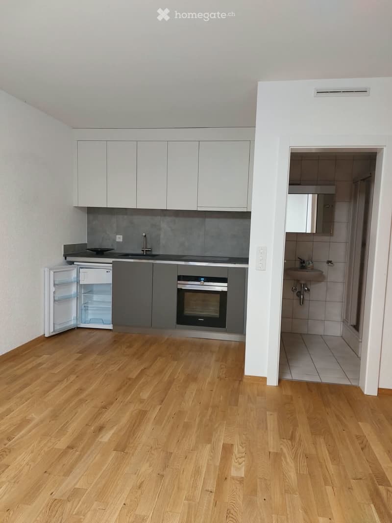 Studio à louer à Grône  CHF 900. charges comprises (3)