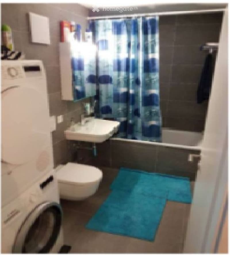 3.5 p. récent, 4è, balcon, 2pl. parc, 30 mn Lausanne - Sion (2)