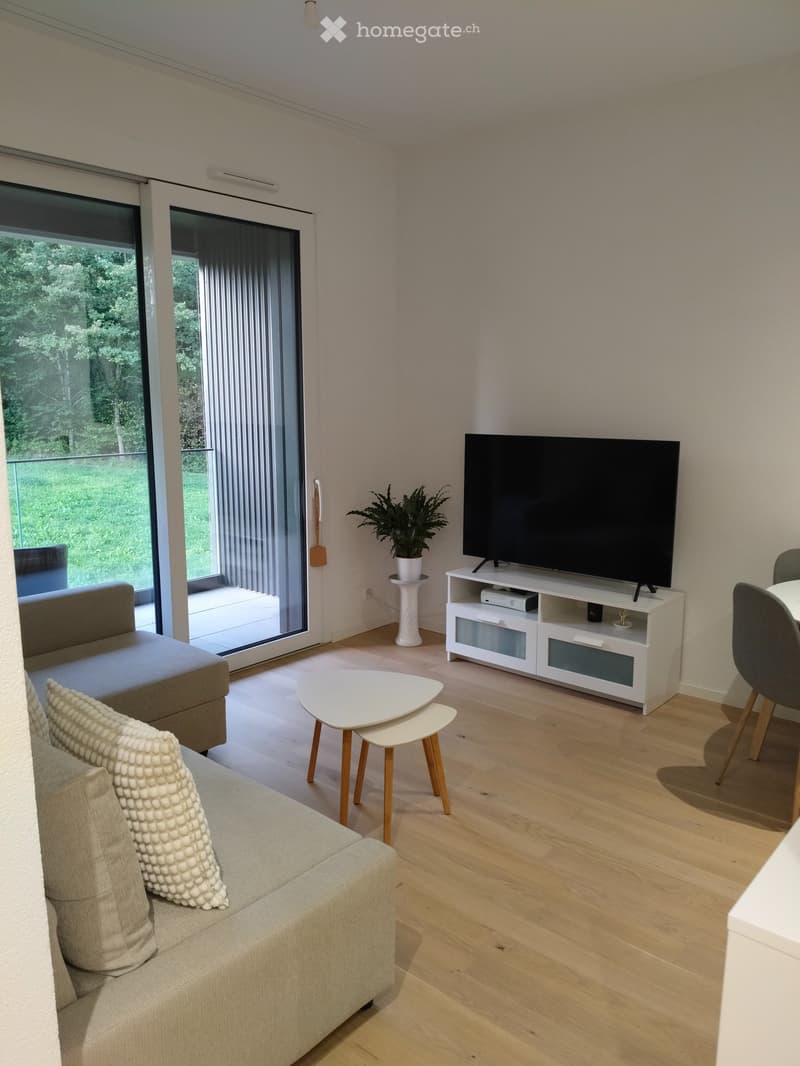 Appartement à louer 2.5 pièces (3)