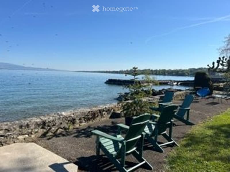 Villa Pieds dans l'Eau Collonge-Bellerive (5)