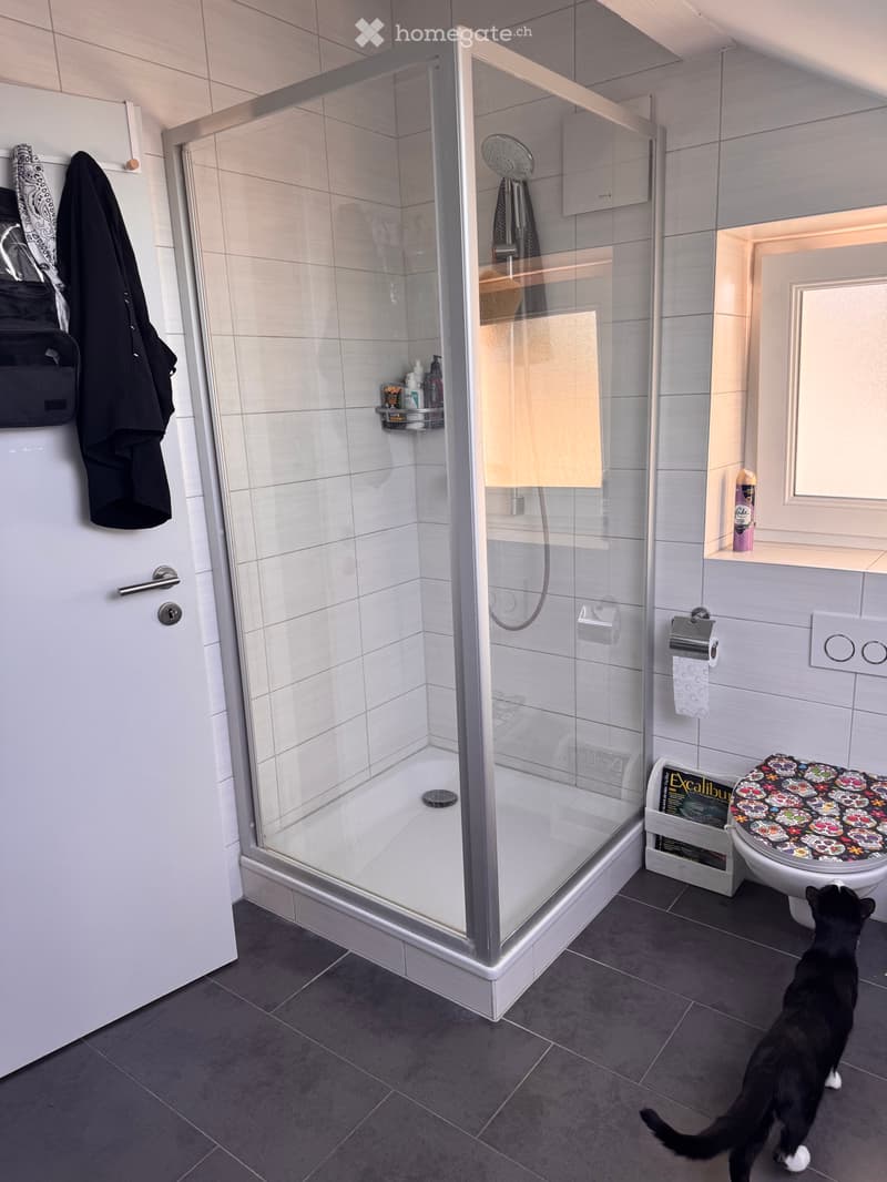 Bel appartement de 3.5 (5)