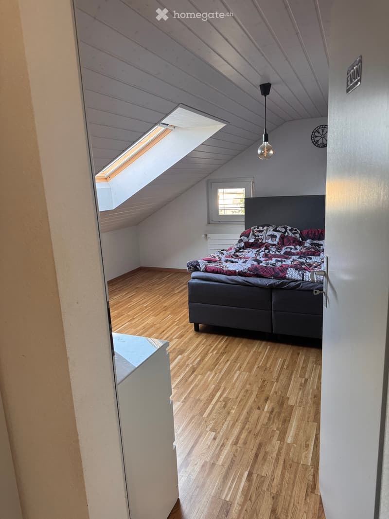 Bel appartement de 3.5 (4)