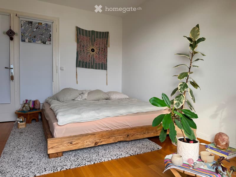 Chambre dans colocation à La Tour-de-Peilz (3)