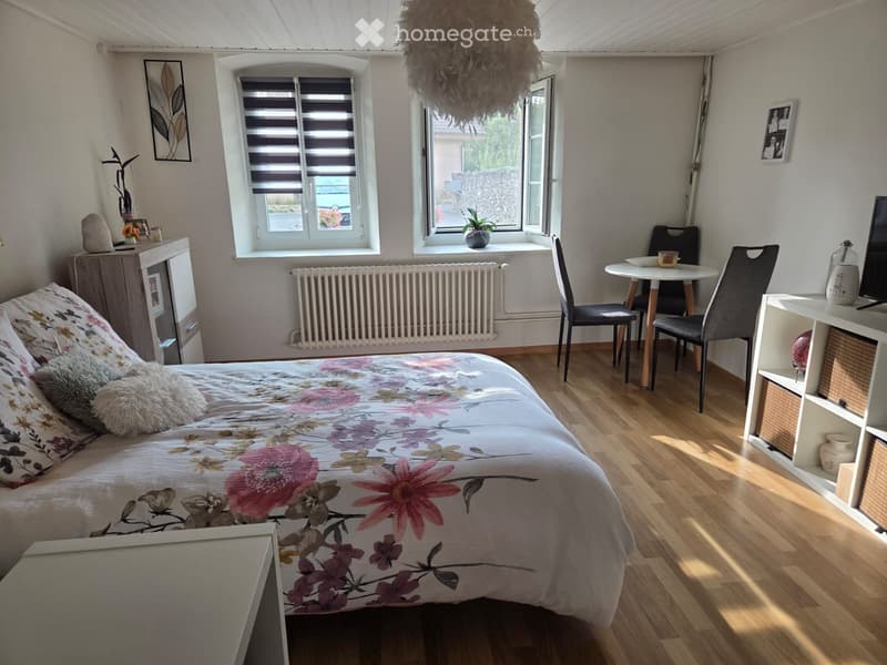 Charmant studio lumineux de 23 m² à Yvonand (4)