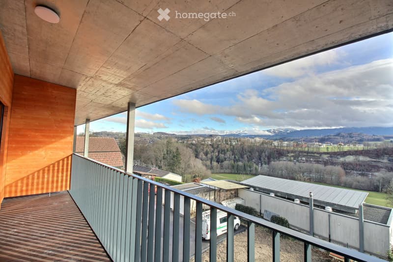 Magnifique duplex de 132 m² avec jardin (5)