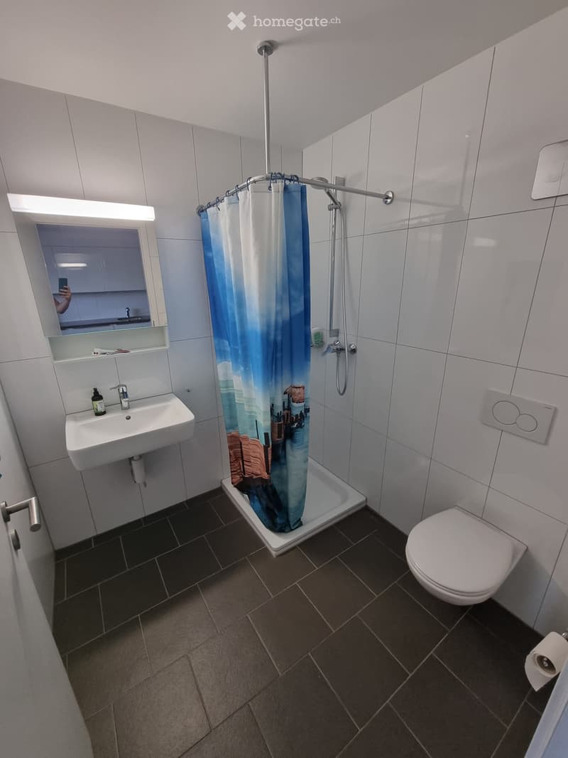 1.5 pièces, 31 m2, 3me étage (3)