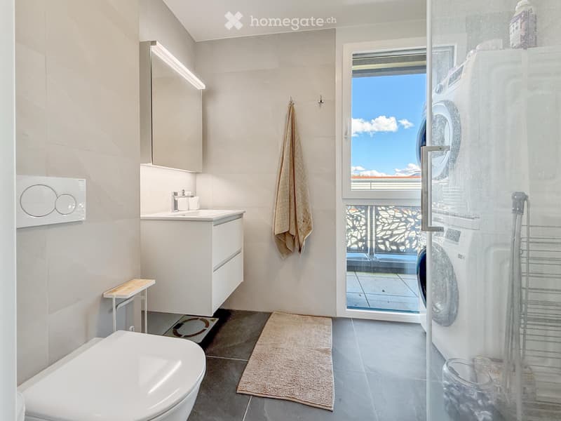 Appartement 4 pièces à louer à Plan-les-Ouates (4)