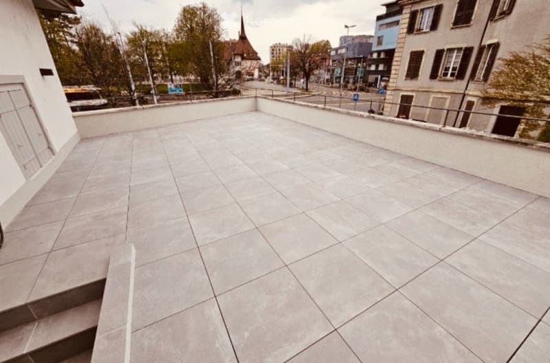 Superbe 3 pièces avec immense terrasse Chêne-Bourg (5)