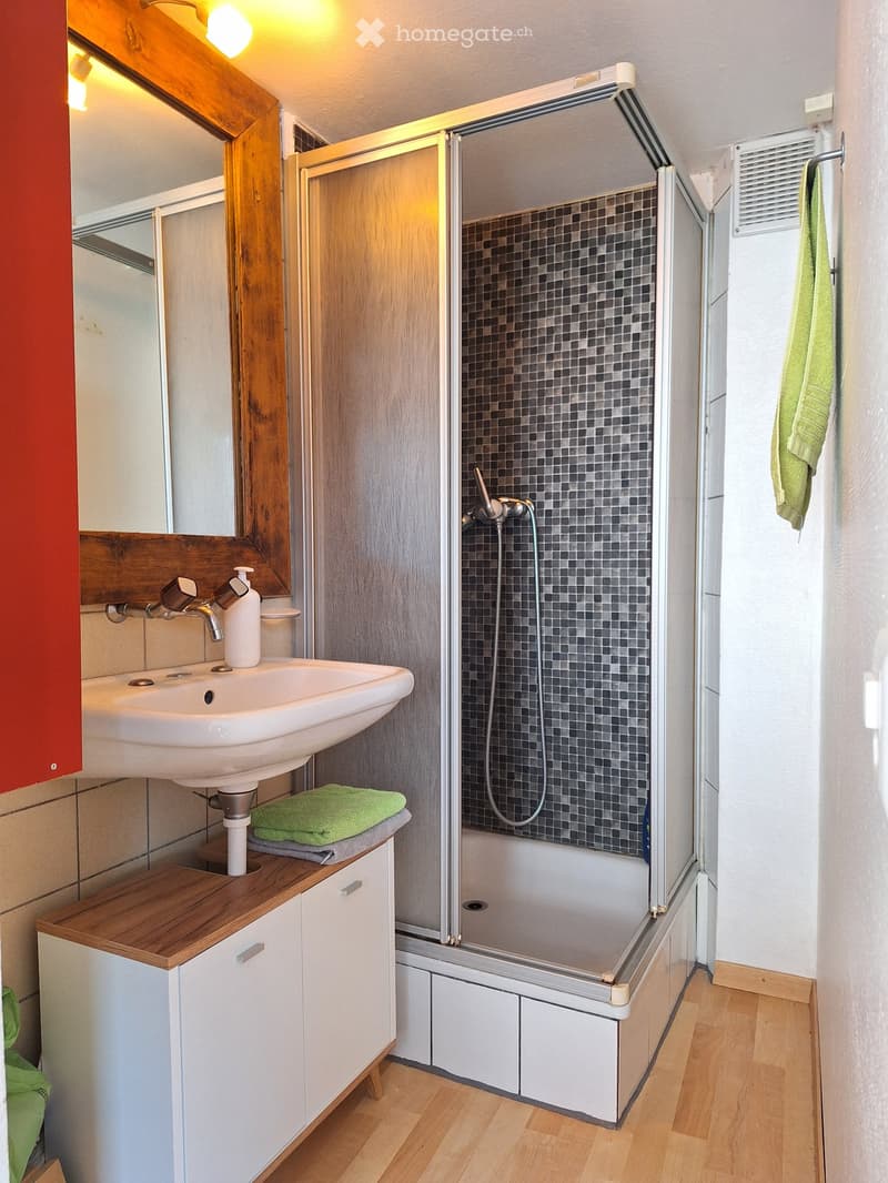 Beau studio en duplex en basse-ville de Fribourg. Libre mtn (4)