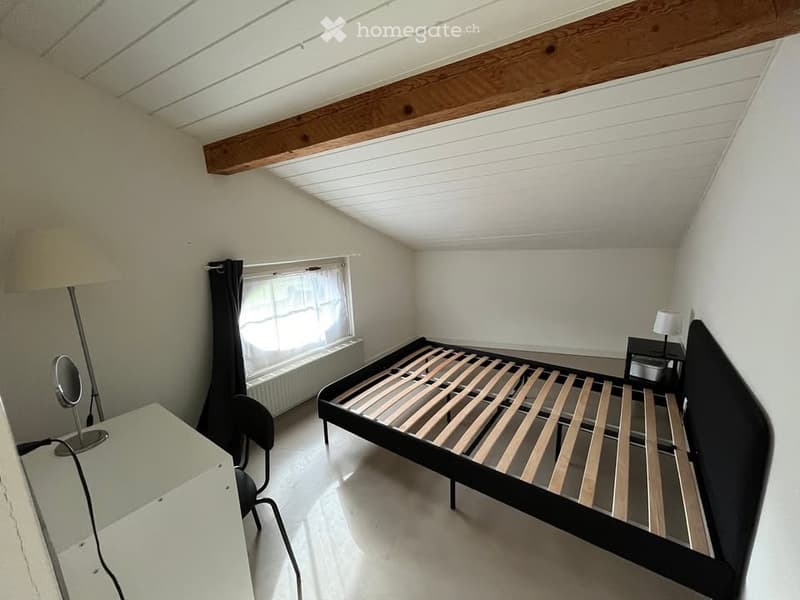 Grand appartement de 3,5 pièces avec mezzanine bien situé (3)