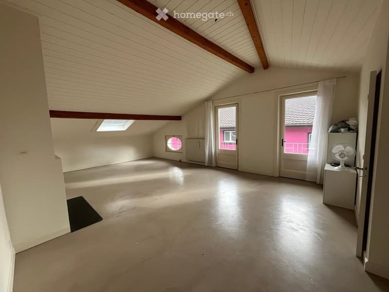 Grand appartement de 3,5 pièces avec mezzanine bien situé (1)