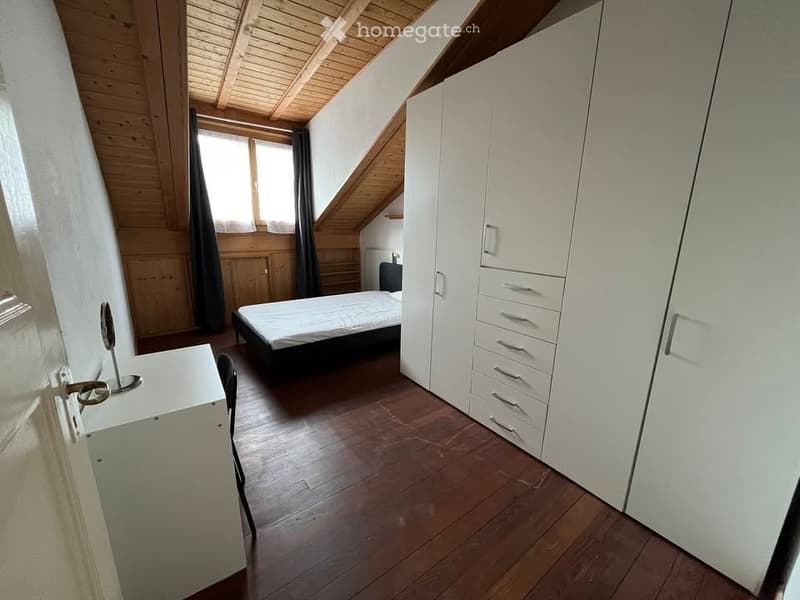Grand appartement de 3,5 pièces avec mezzanine bien situé (2)