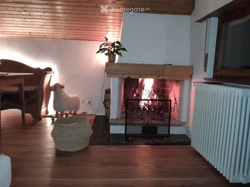 Appartement meublé de 2,5 pièces à louer (2)