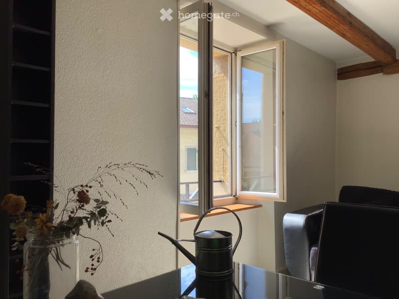 Appartement à remettre au plus vite (1)