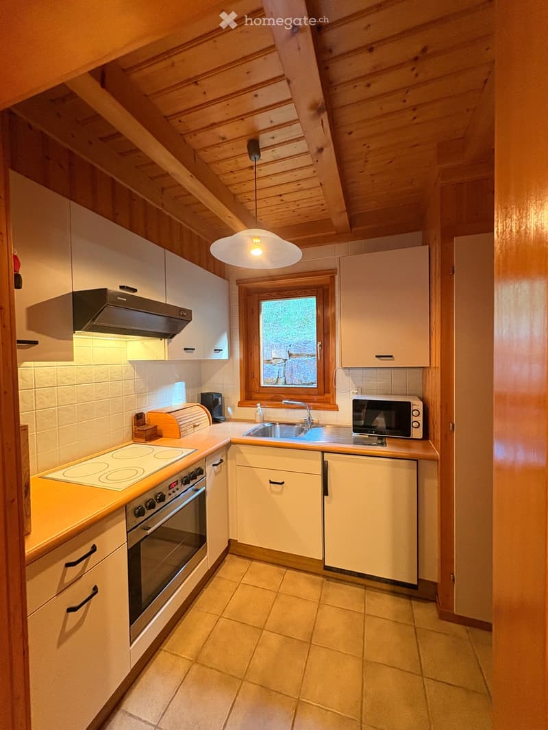 Chalet individuel coup de coeur Mayens de Chamoson (3)