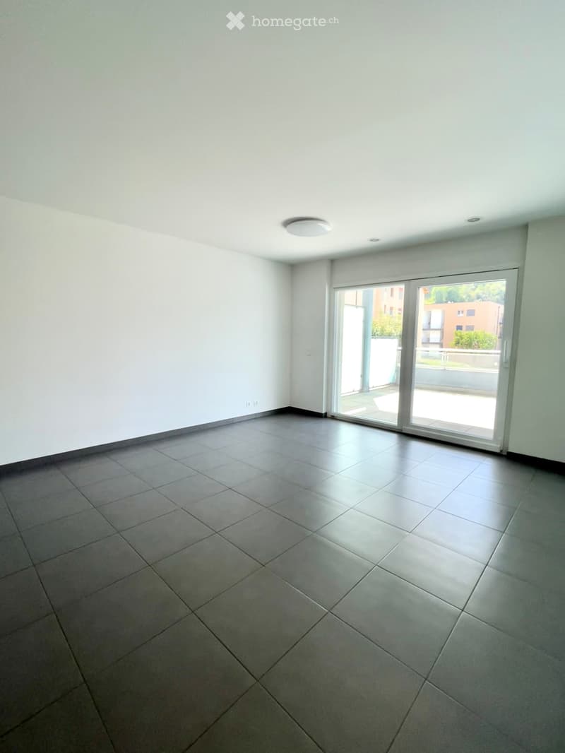 2.5 pièces avec grande terrasse (9)