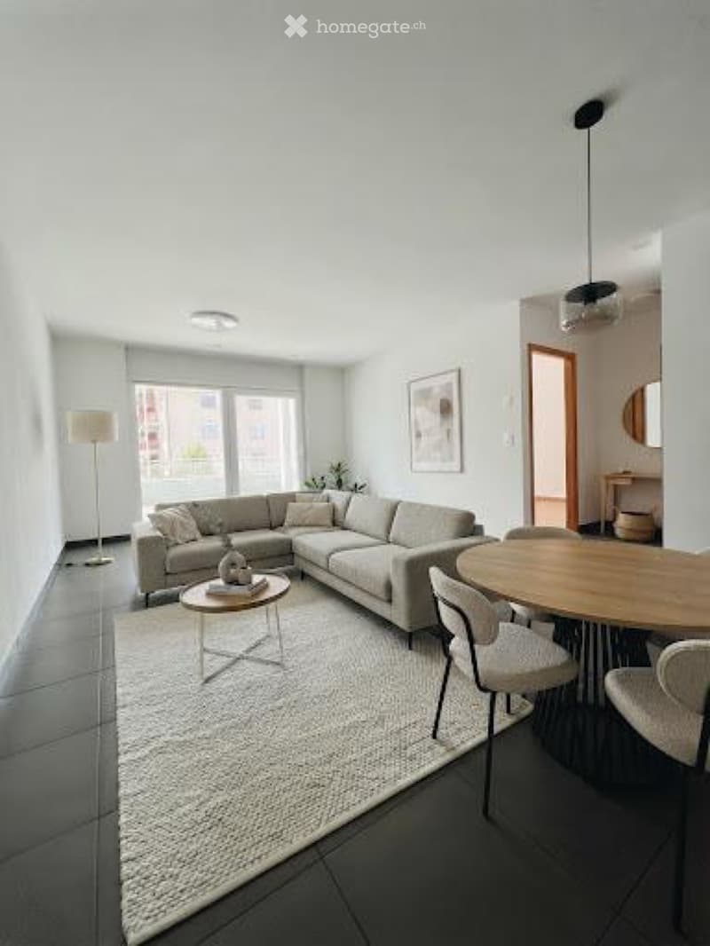 2.5 pièces avec grande terrasse (1)