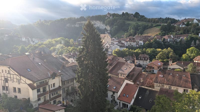 Magnifique appartement de 4,5 pièces, vue sur la Basse-Ville (5)