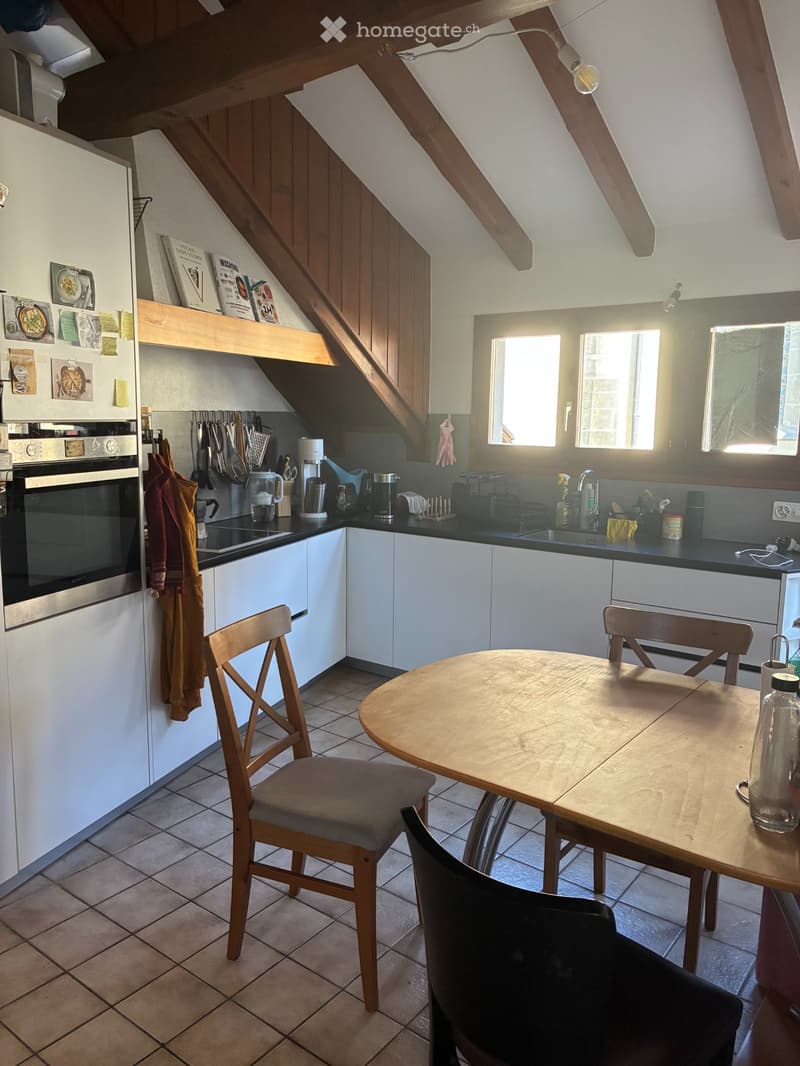 Charmant appartement 4 pièces avec cheminée et mezzanine (3)