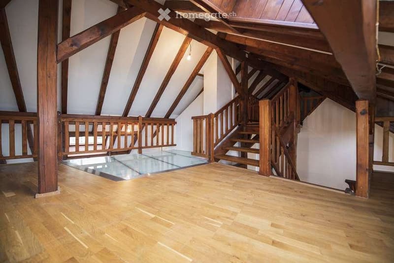 Charmant appartement 4 pièces avec cheminée et mezzanine (2)