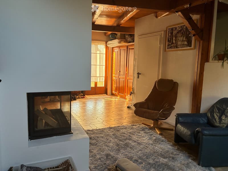 Charmant appartement 4 pièces avec cheminée et mezzanine (5)