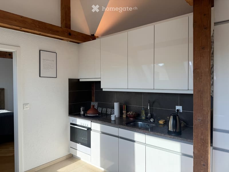 Moderne 2,5-Zimmer-Dachgeschosswohnung in Zürich-Wiedikon (3)
