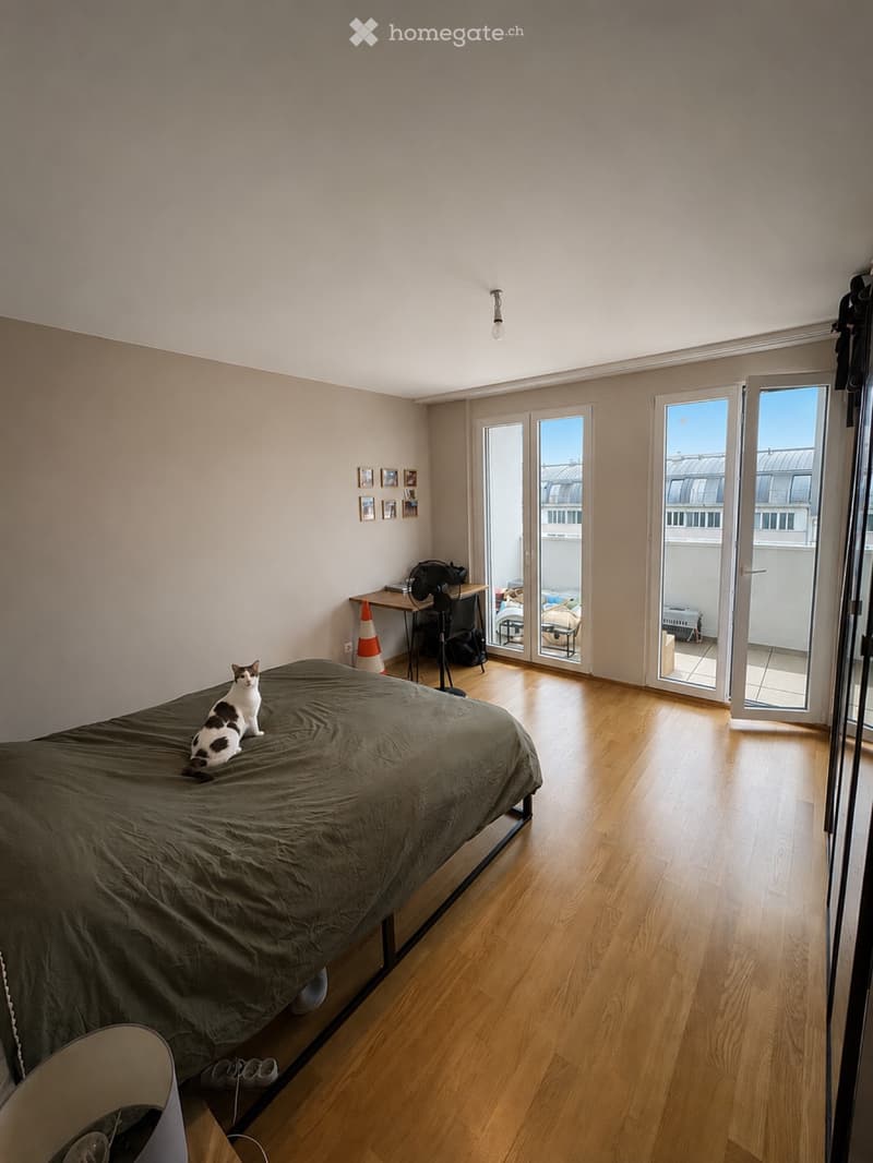 À louer 3 pièces, 56 m2, loyer réduit jusqu'au 31.07.2027 (3)