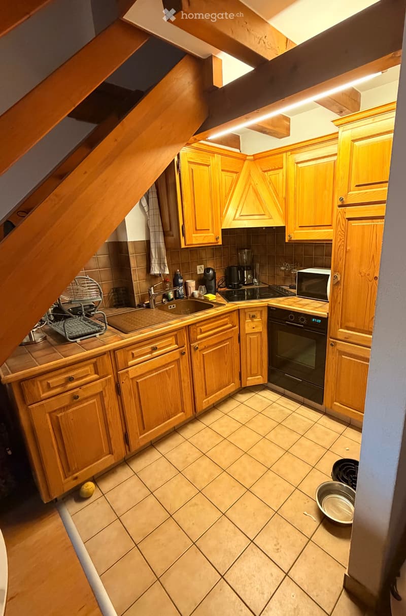 Appartement 1.5 pièce (2)