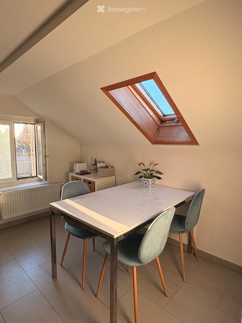 Magnifique appartement à louer (3)