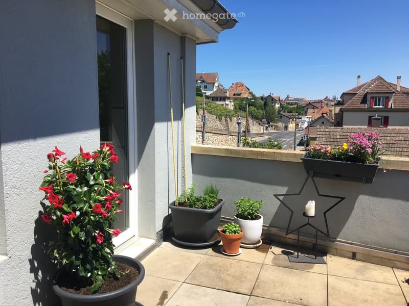 Magnifique appartement à louer (5)