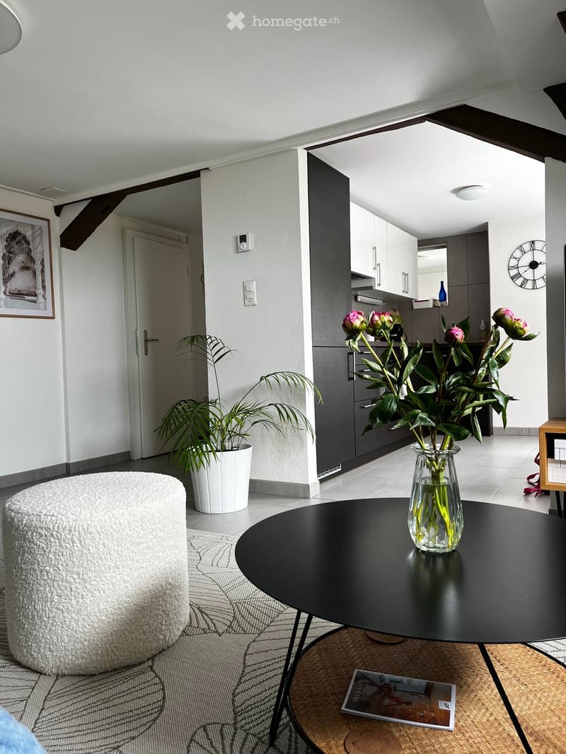 Magnifique appartement à louer (1)