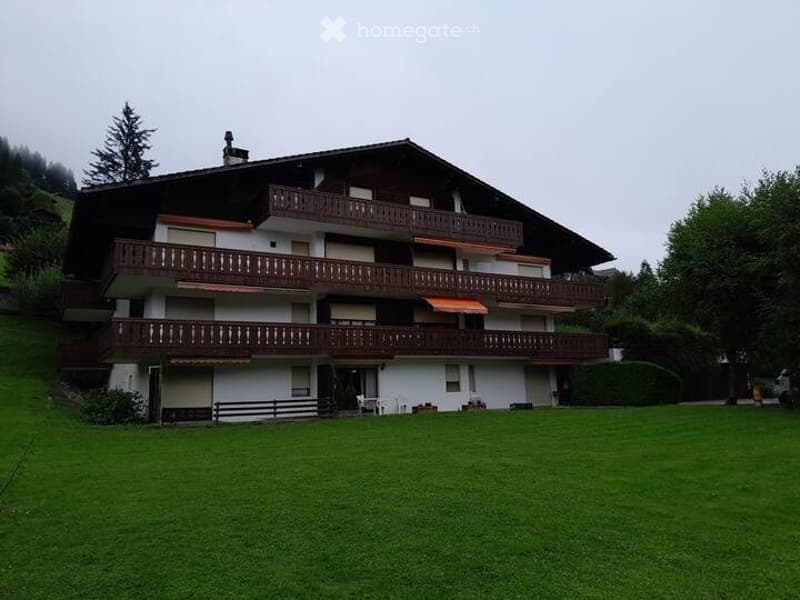 Furnished 2.5-room apartment for rent (1)