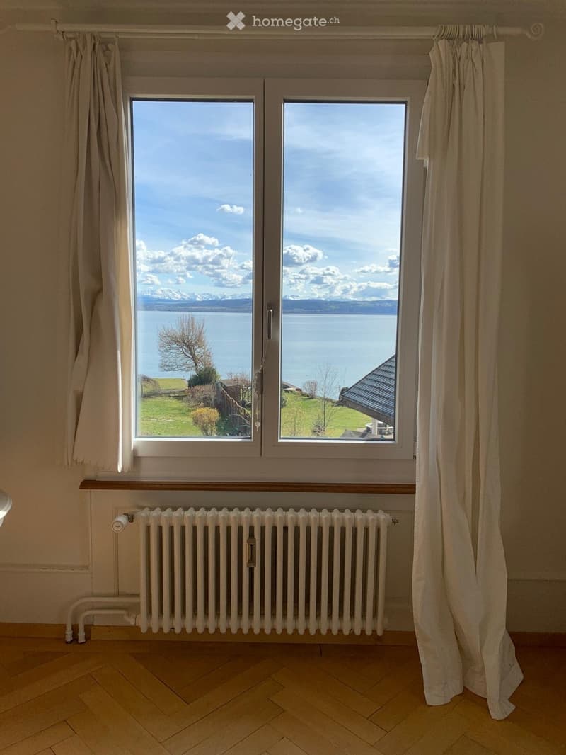Appartement 3.5 pièces au bord du lac avec jardin privatif (1)