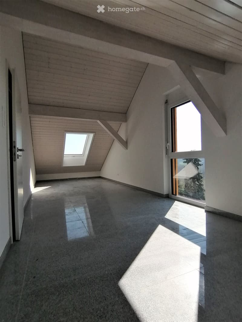 villa d'architecte à louer, proche de Lausanne (9)