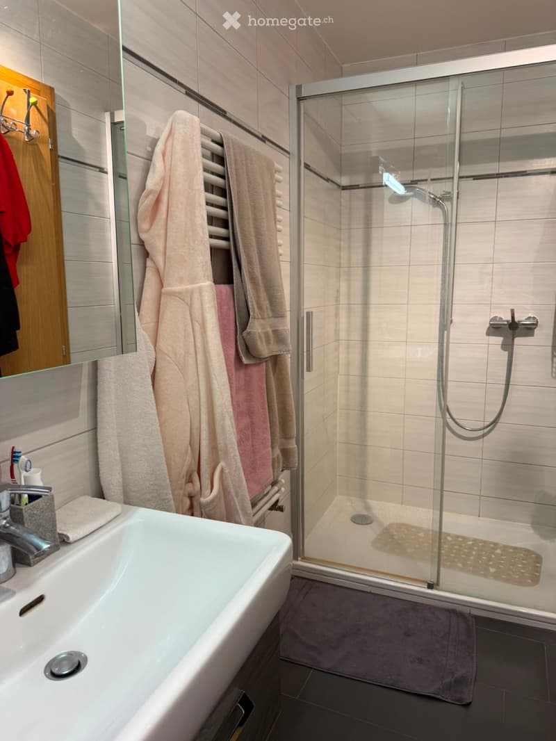 Appartement 3,5 à Grangettes (4)