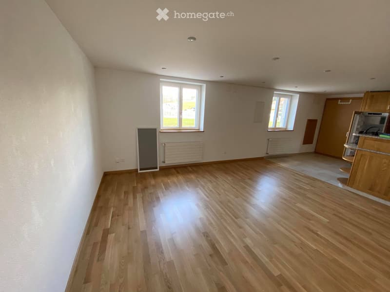 Appartement 3,5 à Grangettes (3)