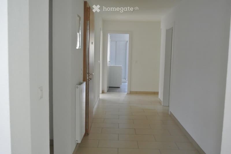 Charmant appartement 5.5 pièces (3)