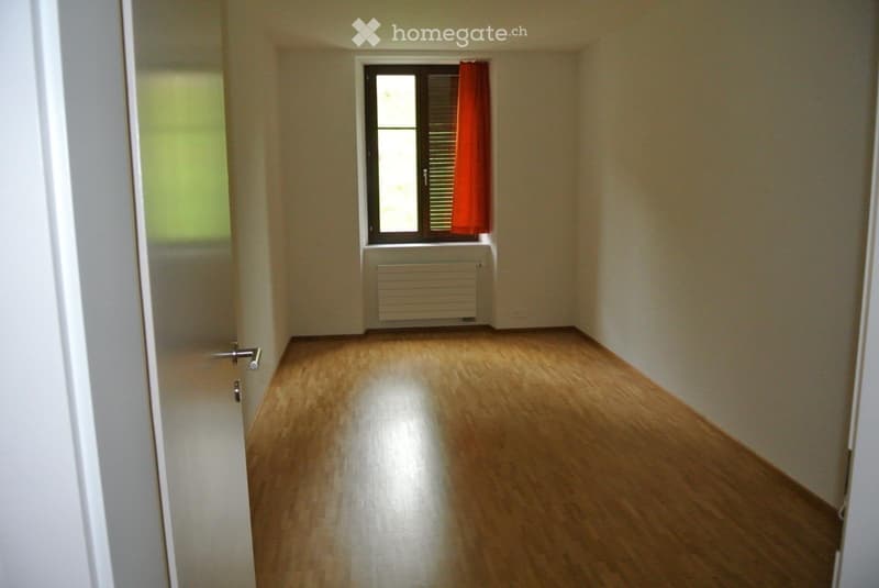 Charmant appartement 5.5 pièces (5)