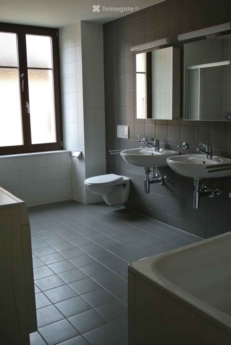 Charmant appartement 5.5 pièces (2)