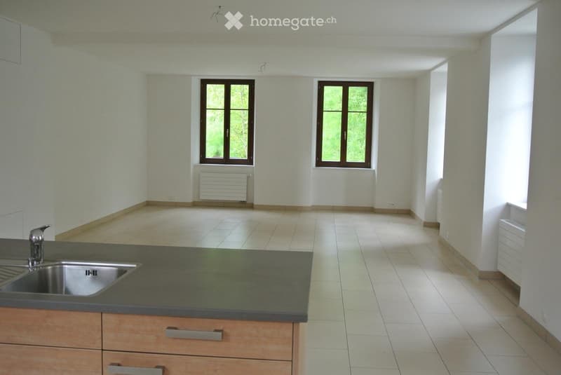 Charmant appartement 5.5 pièces (1)