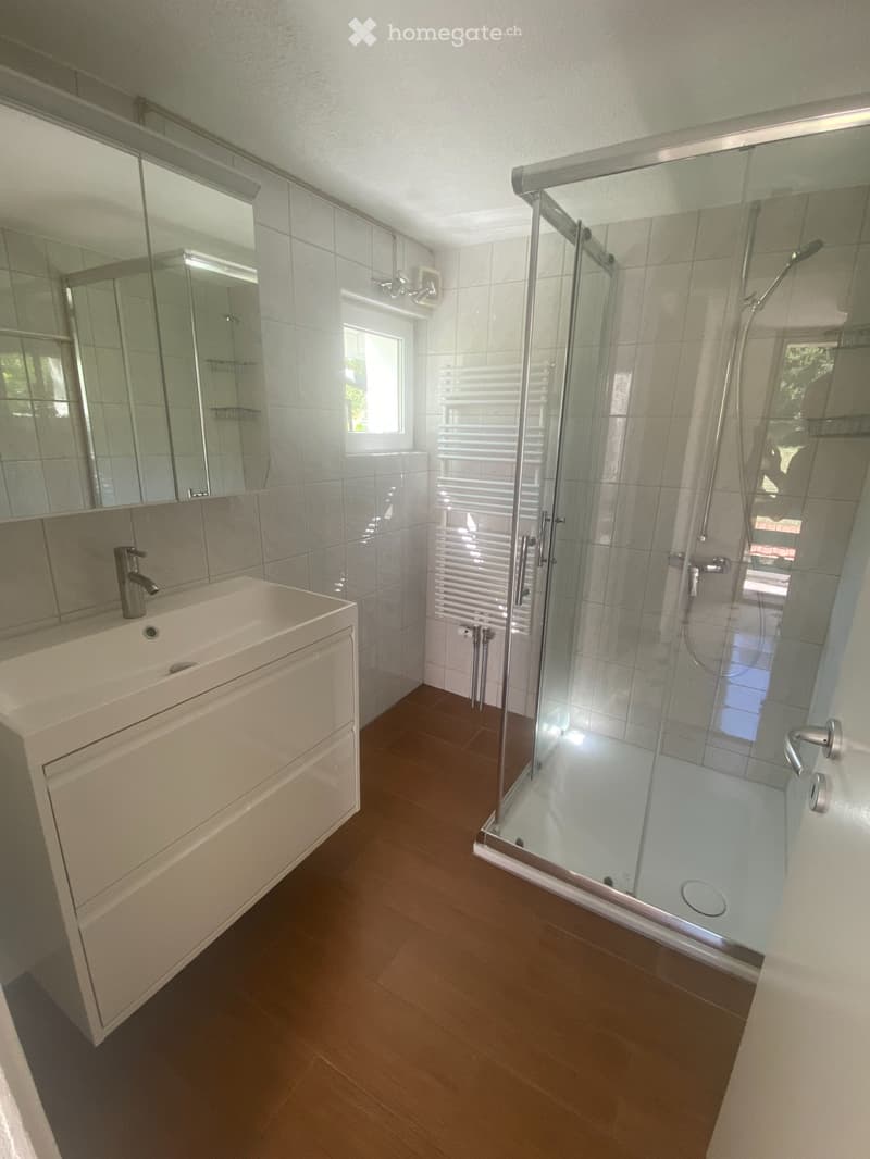 3.5 pièces lumineux, 115m2, CHF 1'800.- (5)