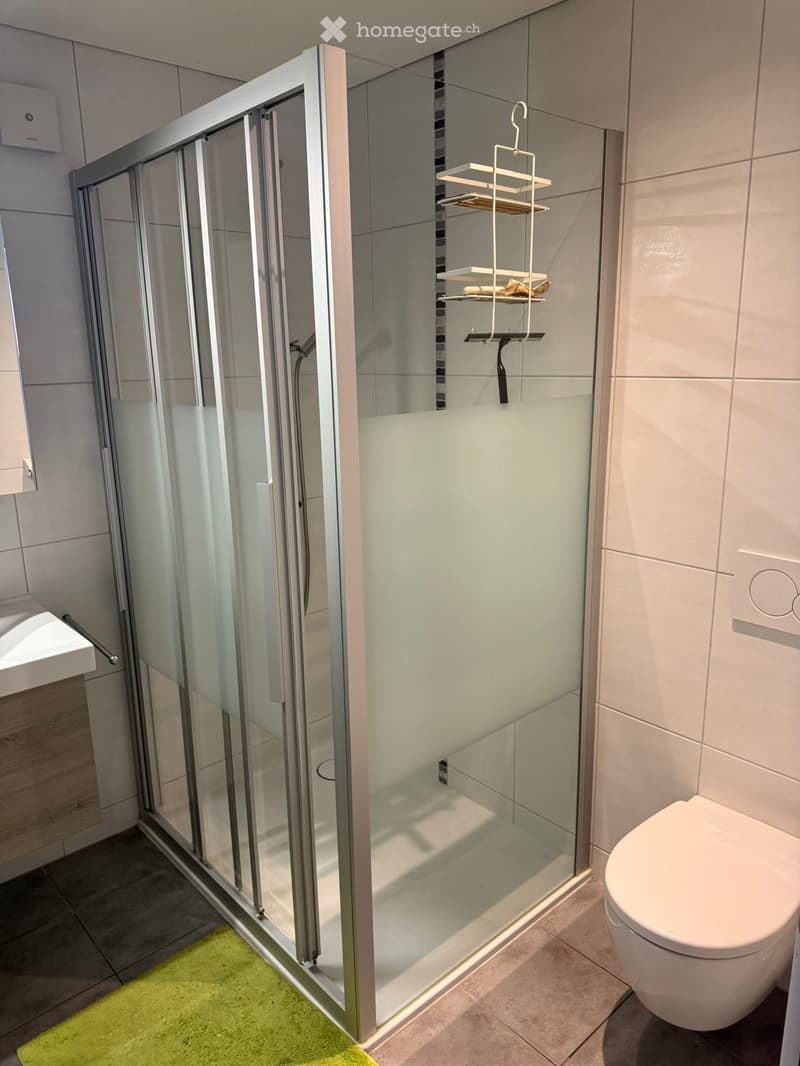 Studio meublé 1,5 pièce de 40 m² à Cudrefin (2)