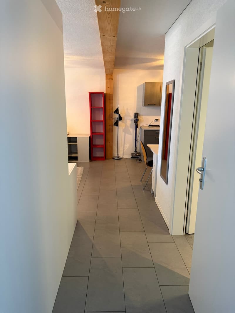 Studio meublé 1,5 pièce de 40 m² à Cudrefin (1)